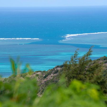 Bed and Breakfast Le Tropical Chez Jeannette Saint Gabriel Exterior foto